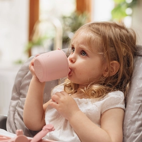 Animal Friends One-Handle Silicone Sippy Cup