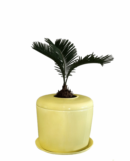 The Living Urn Indoors / Patio for Pets