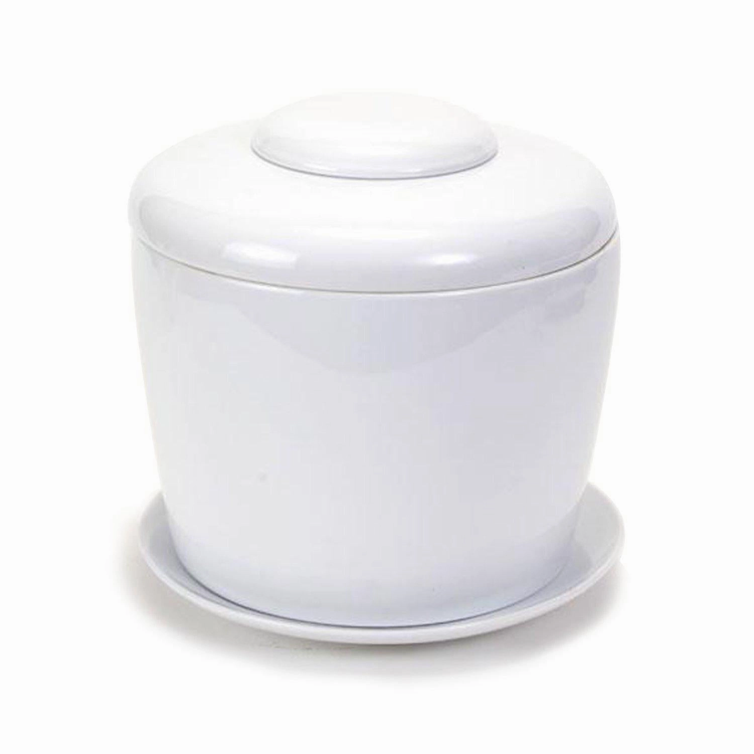 The Living Urn Indoors / Patio for Pets